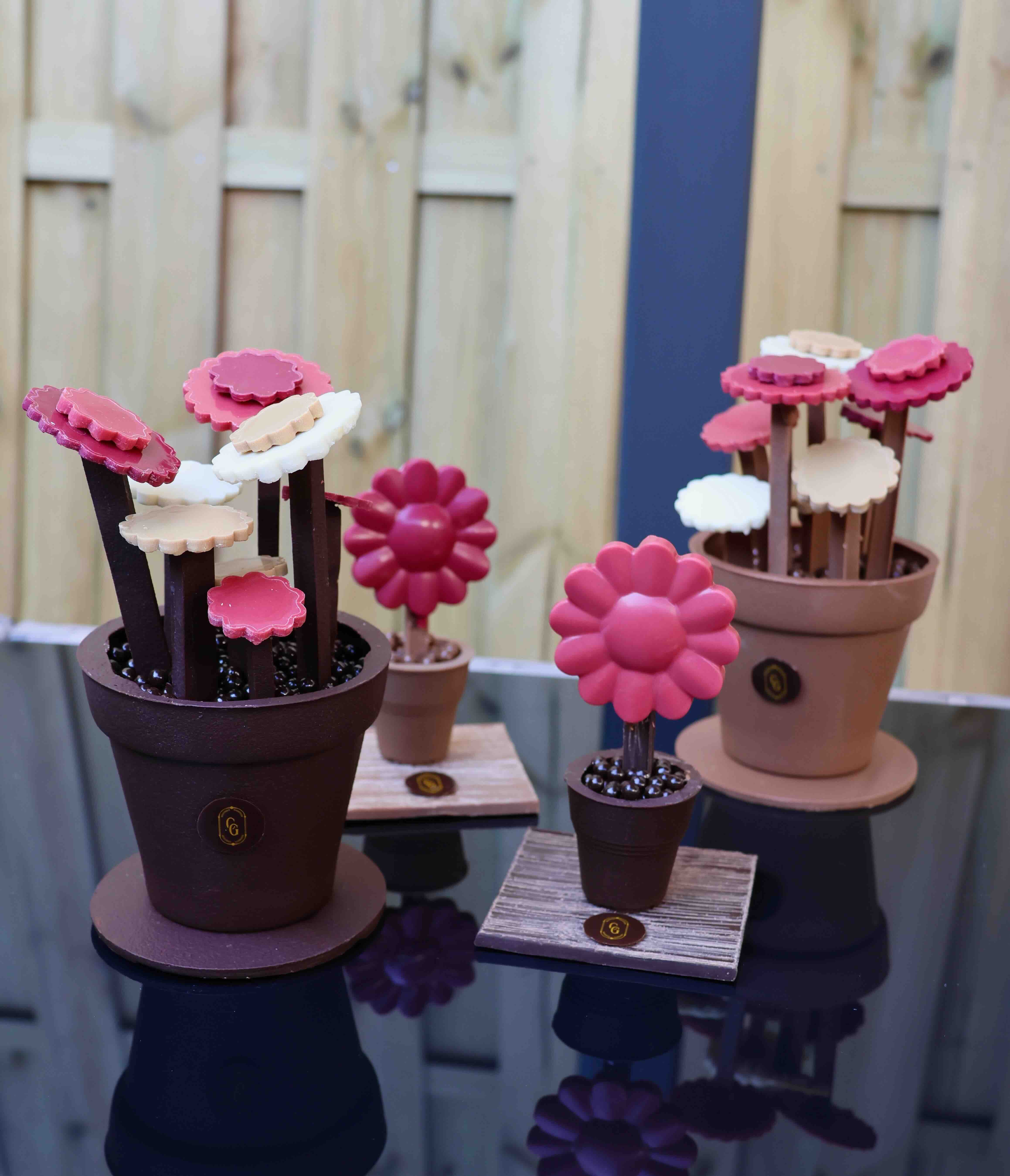 Sélection | Fleurs | Ganache & Cabosse