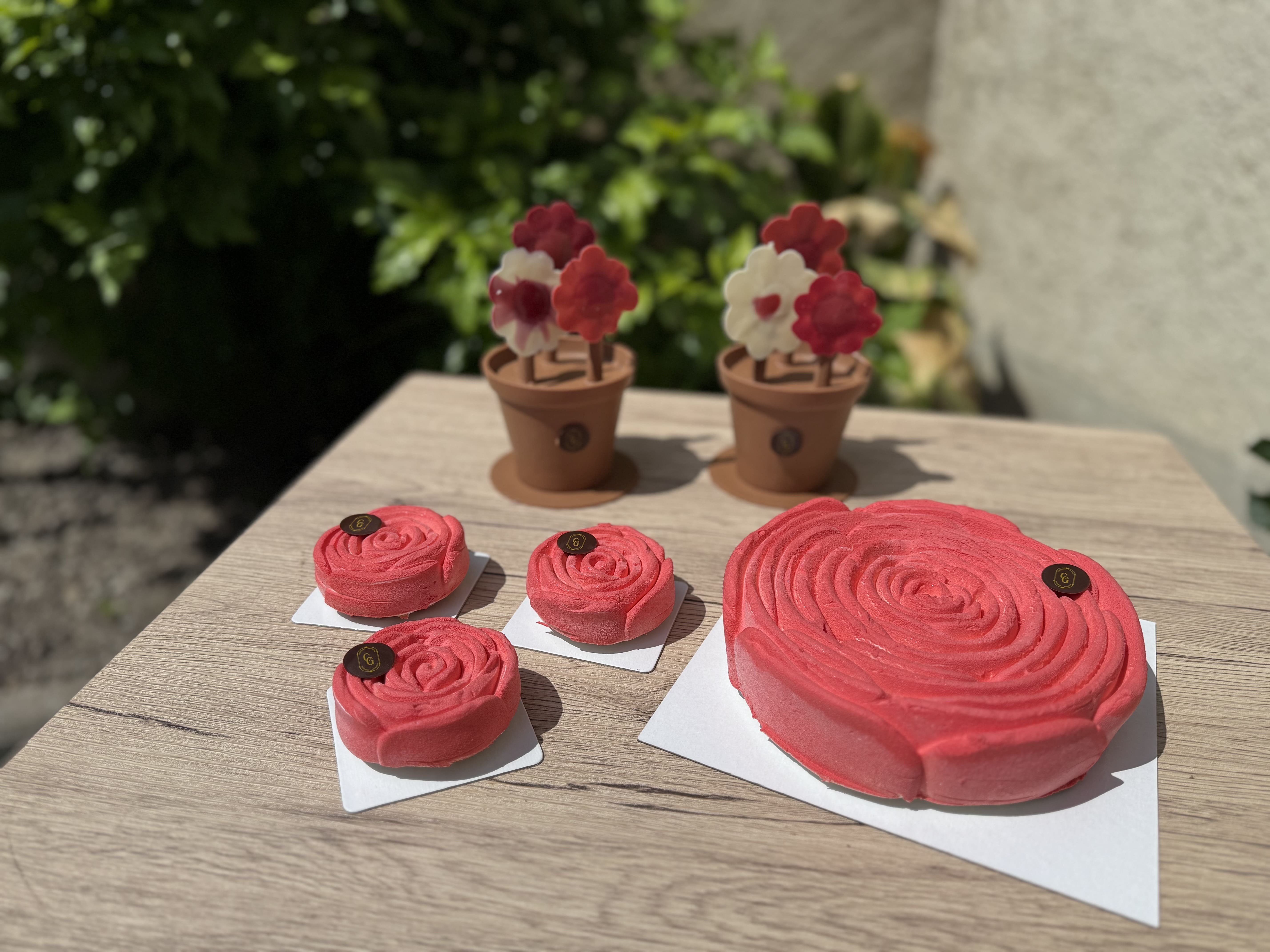 Sélection | Entremet Rose | Ganache & Cabosse