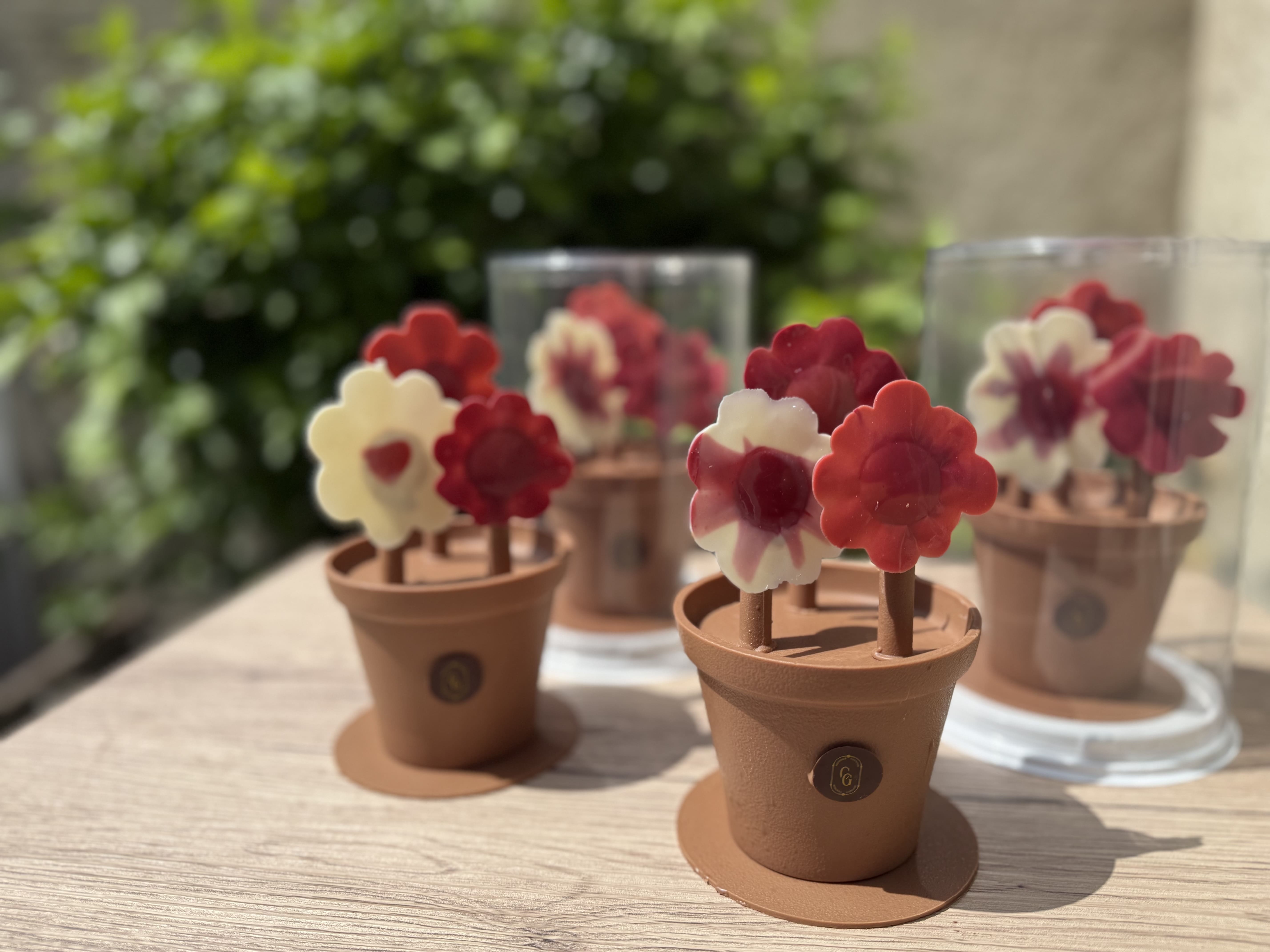Sélection | Pot de fleurs | Ganache & Cabosse